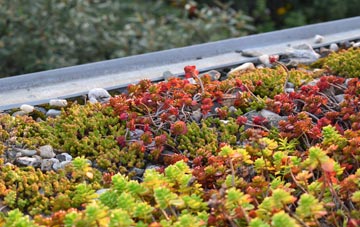 the cost of Moxby green roof installation
