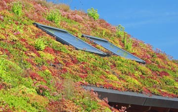 Moxby living roof systems